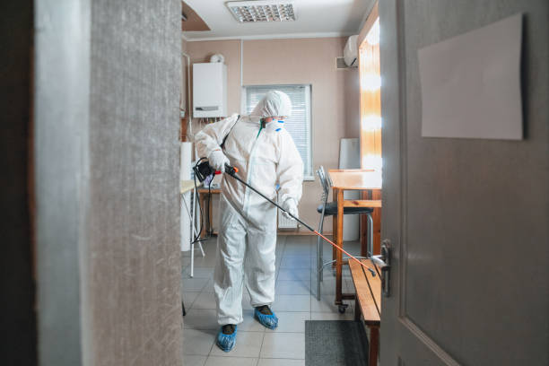 Best Industrial Mold Remediation  in San Felipe Pueblo, NM