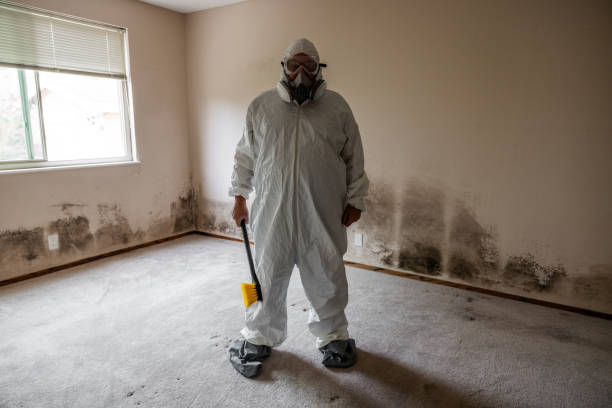 Best Airborne Mold Testing  in San Felipe Pueblo, NM